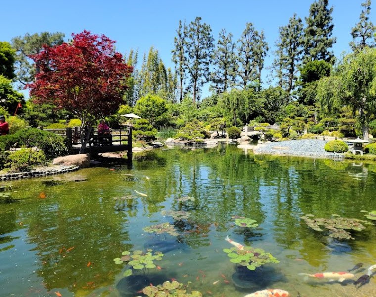 Earl Burns Miller Japanese Garden, United States